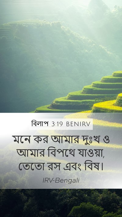 বিলাপ 3:19 BENIRV Bible Verse Image
