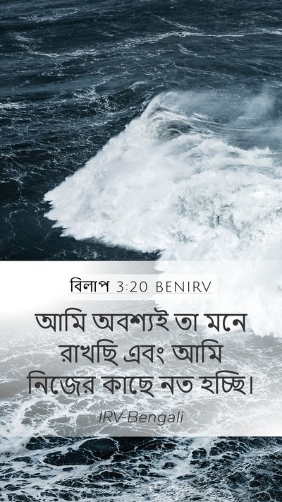 বিলাপ 3:20 BENIRV Bible Verse Image