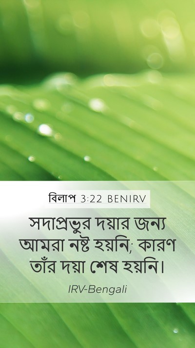 বিলাপ 3:22 BENIRV Bible Verse Image