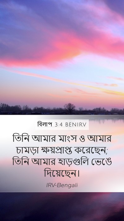 বিলাপ 3:4 BENIRV Bible Verse Image