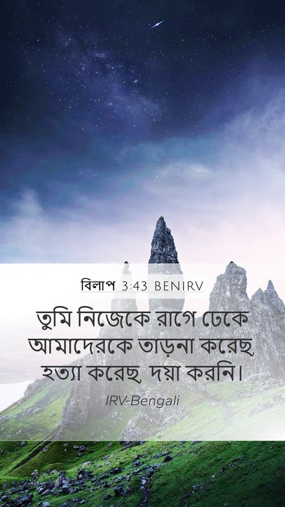 বিলাপ 3:43 BENIRV Bible Verse Image