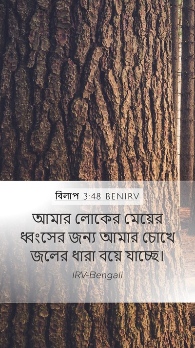 বিলাপ 3:48 BENIRV Bible Verse Image