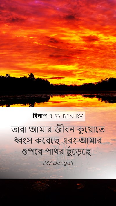 বিলাপ 3:53 BENIRV Bible Verse Image
