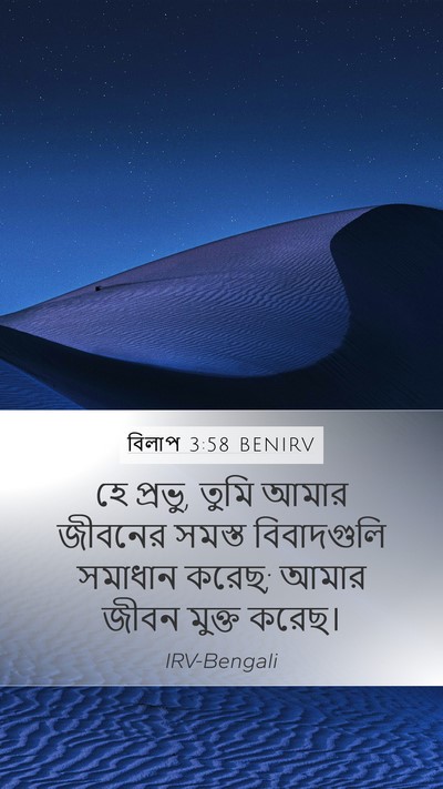 বিলাপ 3:58 BENIRV Bible Verse Image
