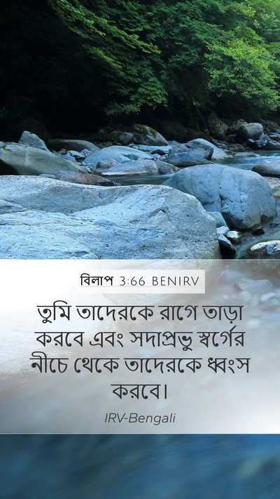 বিলাপ 3:66 BENIRV Bible Verse Image