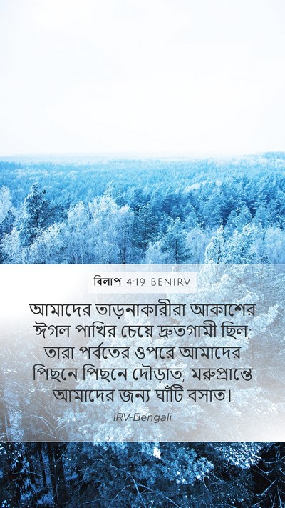 বিলাপ 4:19 BENIRV Bible Verse Image
