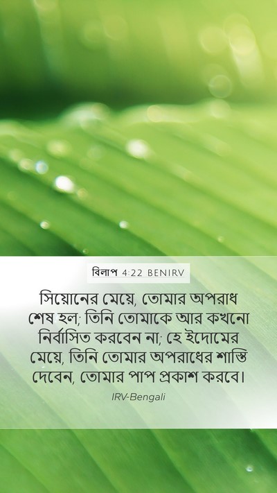 বিলাপ 4:22 BENIRV Bible Verse Image