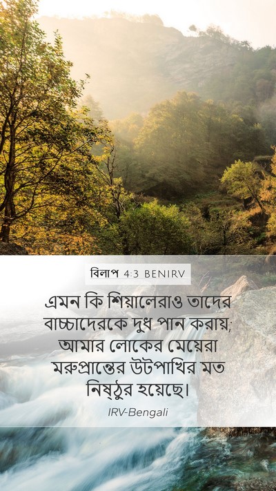 বিলাপ 4:3 BENIRV Bible Verse Image