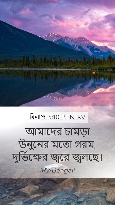 বিলাপ 5:10 BENIRV Bible Verse Image