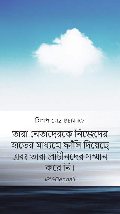 বিলাপ 5:12 BENIRV Bible Verse Image