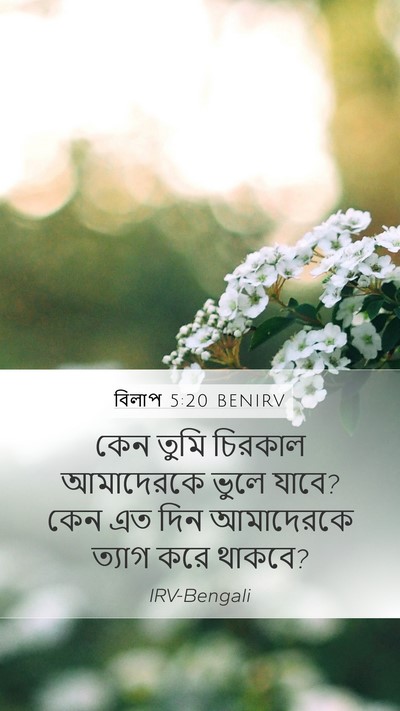 বিলাপ 5:20 BENIRV Bible Verse Image