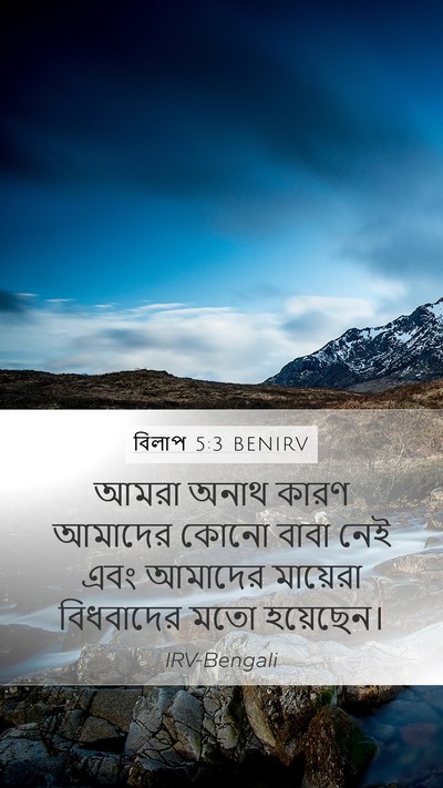 বিলাপ 5:3 BENIRV Bible Verse Image