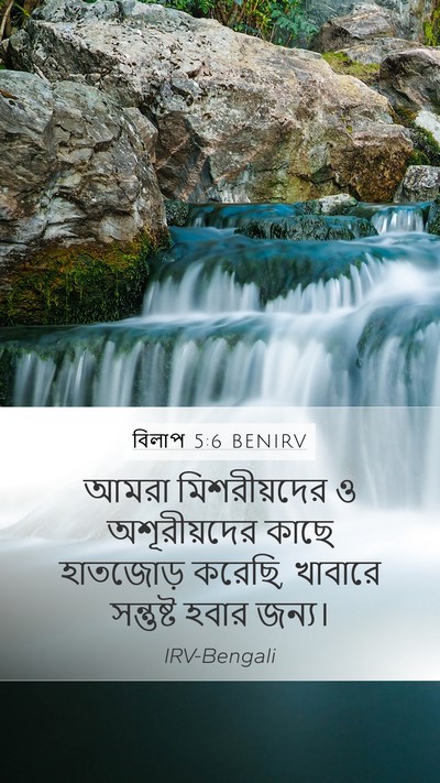 বিলাপ 5:6 BENIRV Bible Verse Image