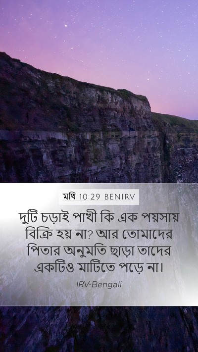 মথি 10:29 BENIRV Bible Verse Image