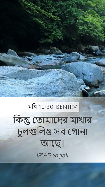 মথি 10:30 BENIRV Bible Verse Image