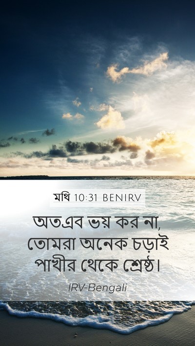মথি 10:31 BENIRV Bible Verse Image