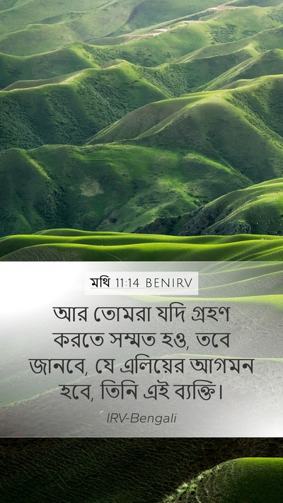 মথি 11:14 BENIRV Bible Verse Image