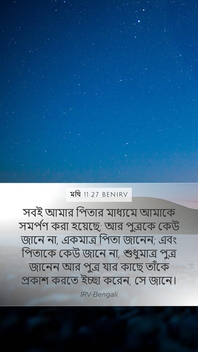 মথি 11:27 BENIRV Bible Verse Image