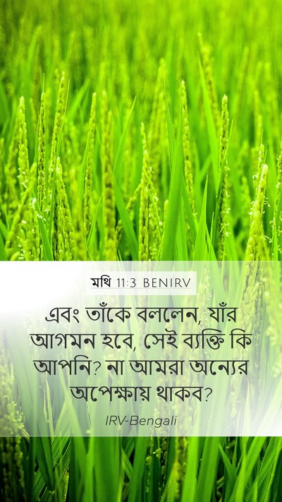 মথি 11:3 BENIRV Bible Verse Image