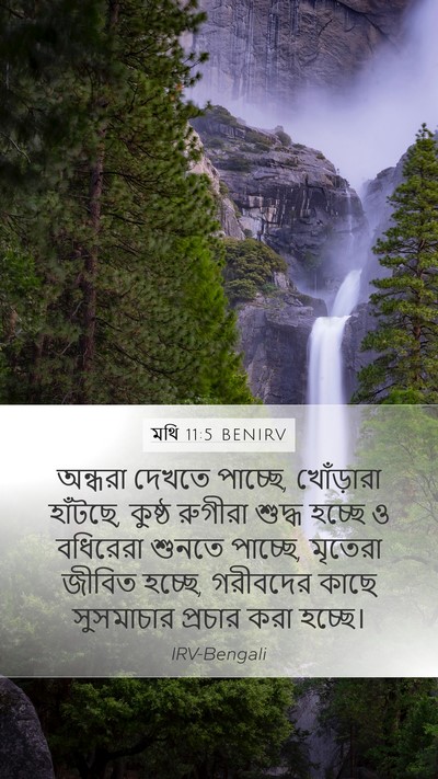 মথি 11:5 BENIRV Bible Verse Image