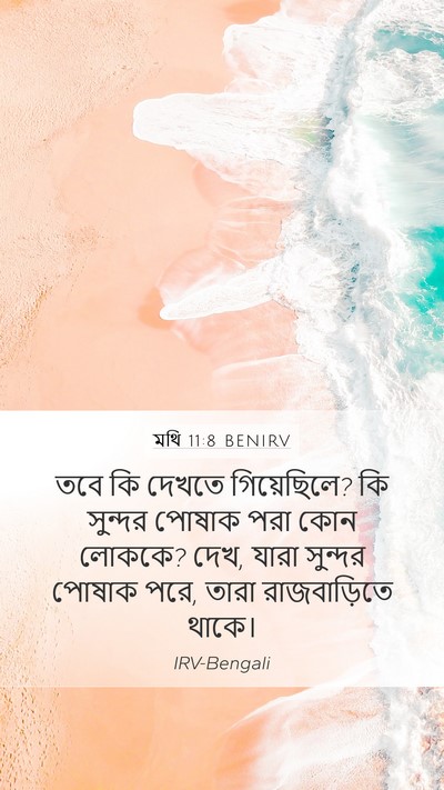 মথি 11:8 BENIRV Bible Verse Image