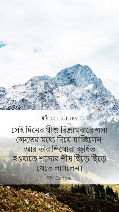 মথি 12:1 BENIRV Bible Verse Image