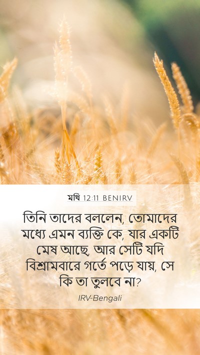 মথি 12:11 BENIRV Bible Verse Image