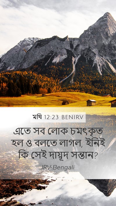 মথি 12:23 BENIRV Bible Verse Image