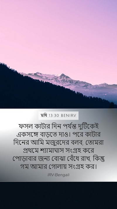 মথি 13:30 BENIRV Bible Verse Image