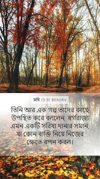 মথি 13:31 BENIRV Bible Verse Image