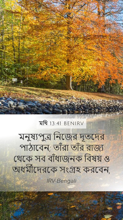 মথি 13:41 BENIRV Bible Verse Image