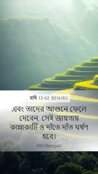 মথি 13:42 BENIRV Bible Verse Image