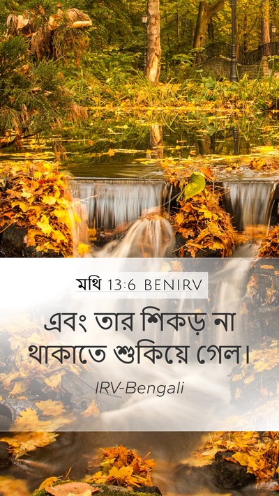 মথি 13:6 BENIRV Bible Verse Image