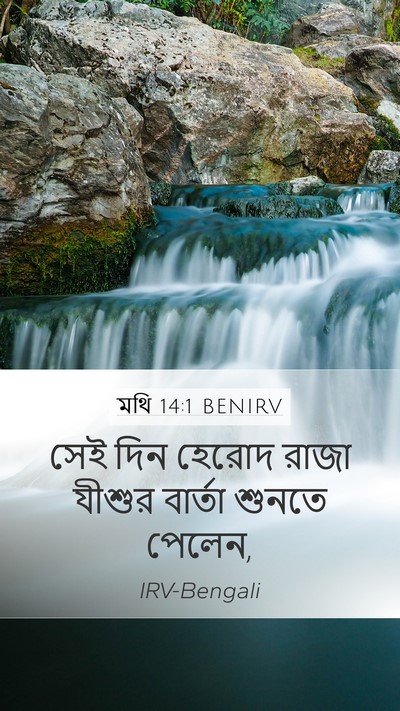 মথি 14:1 BENIRV Bible Verse Image
