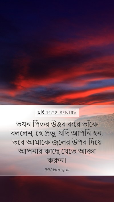 মথি 14:28 BENIRV Mobile Phone Wallpaper - তখন পিতর উত্তর করে - Mobile Bible Verse Wallpaper