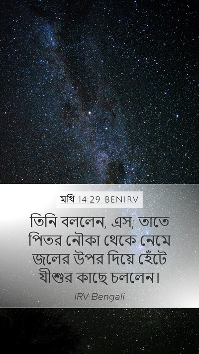 মথি 14:29 BENIRV Mobile Phone Wallpaper - তিনি বললেন, এস; - Mobile Bible Verse Wallpaper