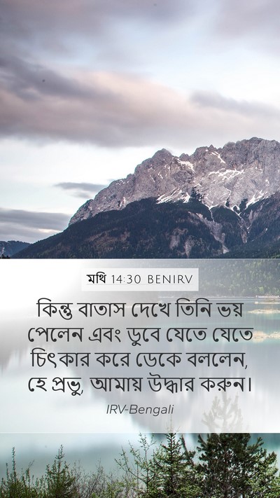 মথি 14:30 BENIRV Bible Verse Image