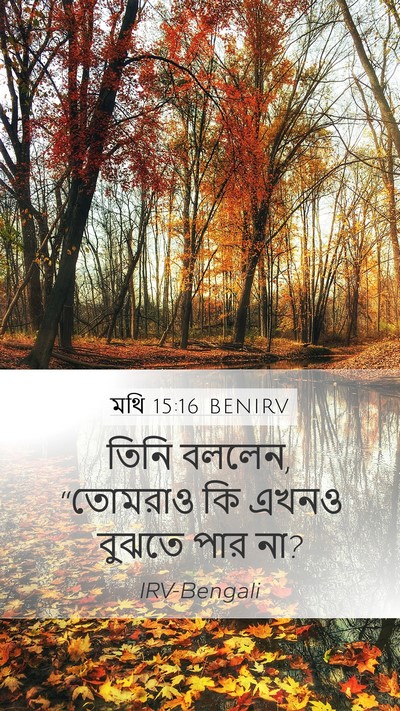 মথি 15:16 BENIRV Bible Verse Image