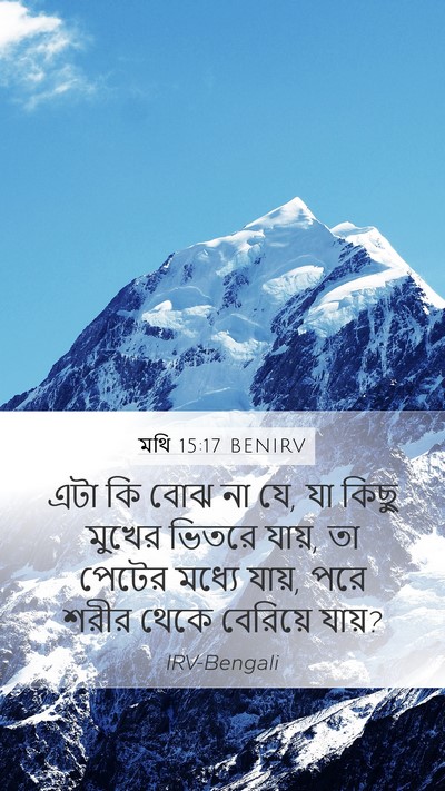 মথি 15:17 BENIRV Mobile Phone Wallpaper - এটা কি বোঝ না যে, যা - Mobile Bible Verse Wallpaper