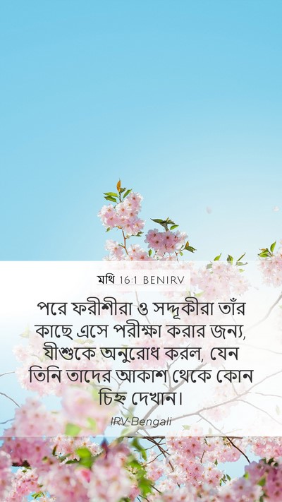 মথি 16:1 BENIRV Mobile Phone Wallpaper - পরে ফরীশীরা ও - Mobile Bible Verse Wallpaper