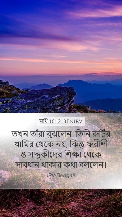 মথি 16:12 BENIRV Mobile Phone Wallpaper - তখন তাঁরা বুঝলেন, - Mobile Bible Verse Wallpaper