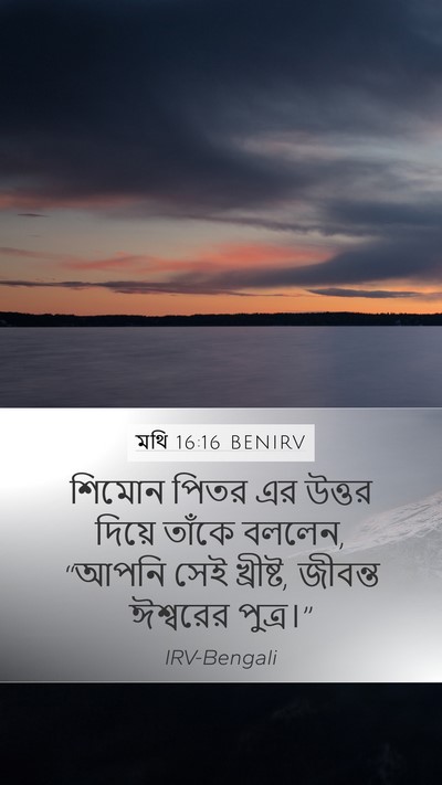 মথি 16:16 BENIRV Bible Verse Image
