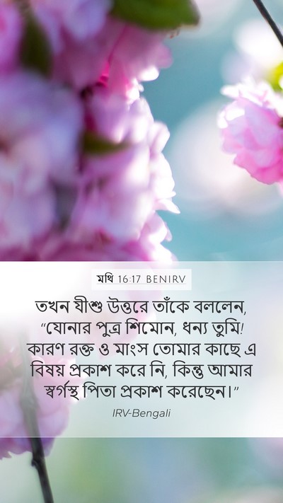 মথি 16:17 BENIRV Bible Verse Image