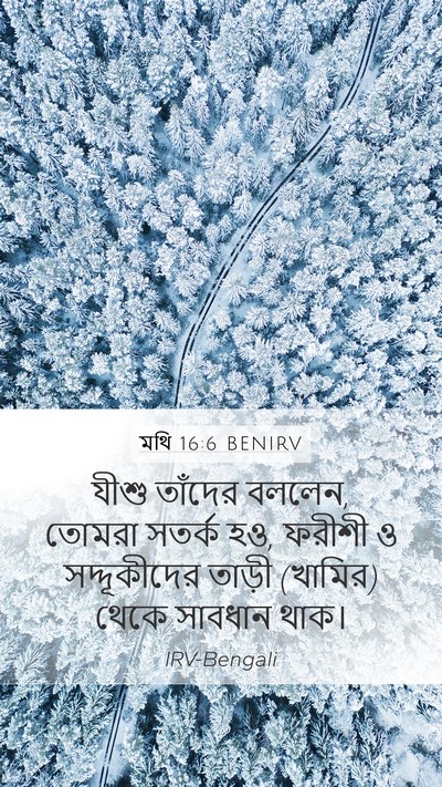 মথি 16:6 BENIRV Bible Verse Image
