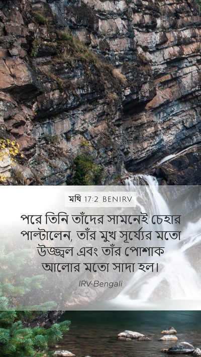 মথি 17:2 BENIRV Bible Verse Image