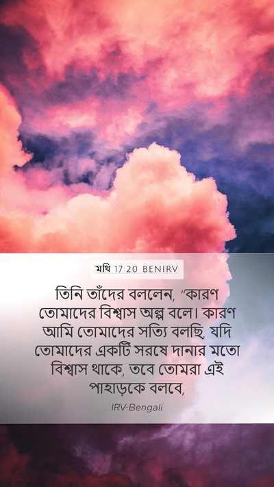 মথি 17:20 BENIRV Bible Verse Image