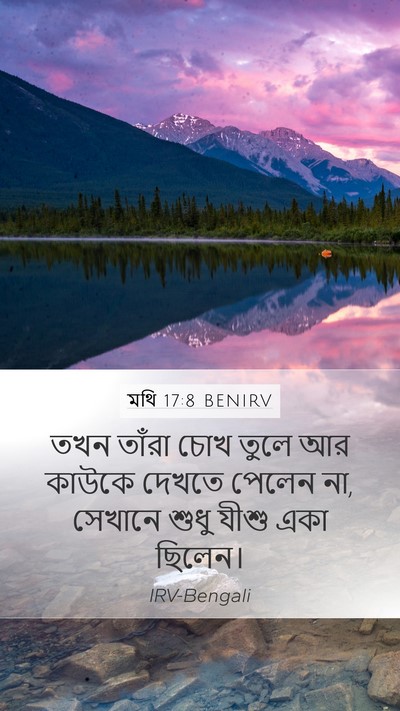 মথি 17:8 BENIRV Mobile Phone Wallpaper - তখন তাঁরা চোখ তুলে - Mobile Bible Verse Wallpaper