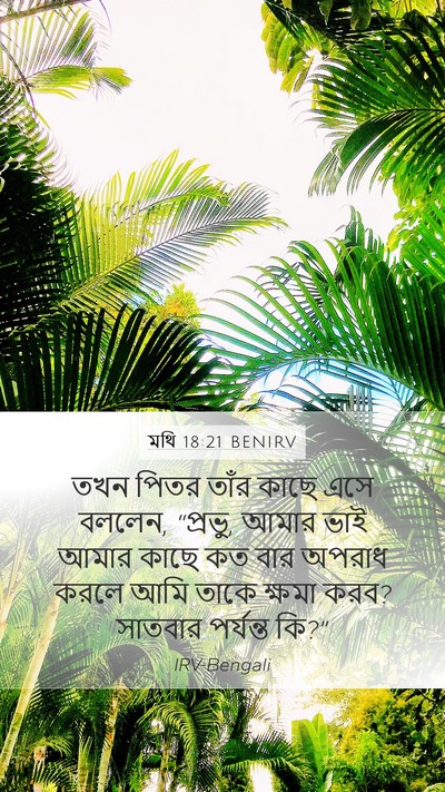 মথি 18:21 BENIRV Bible Verse Image