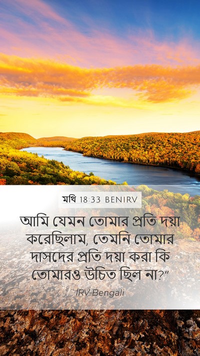 মথি 18:33 BENIRV Bible Verse Image