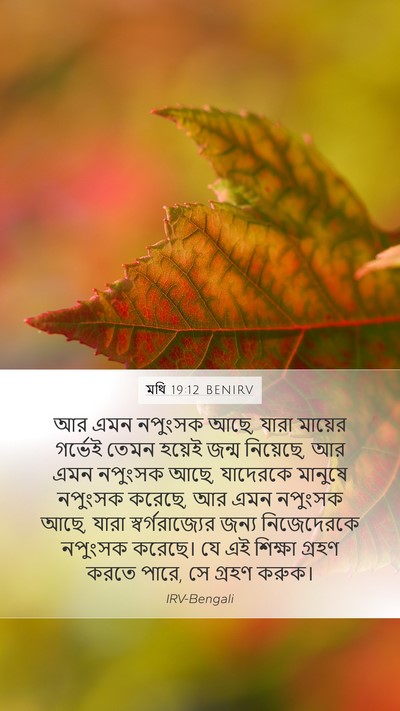 মথি 19:12 BENIRV Mobile Phone Wallpaper - আর এমন নপুংসক আছে, - Mobile Bible Verse Wallpaper
